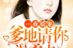 爹地请你温柔点小说,霸道总裁的甜蜜宠爱