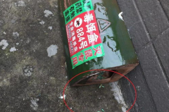 娱乐吃瓜酱灭鼠,揭秘灭鼠背后的趣味故事 娱乐吃瓜酱灭鼠,揭秘灭鼠背后的趣味故事