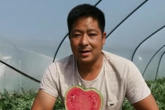 娱乐圈人名黑土 吃瓜,揭秘“黑土”吃瓜背后的故事 娱乐圈人名黑土 吃瓜,揭秘“黑土”吃瓜背后的故事