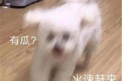 娱乐圈吃瓜微信聊天,幕后八卦大曝光 娱乐圈吃瓜微信聊天,幕后八卦大曝光