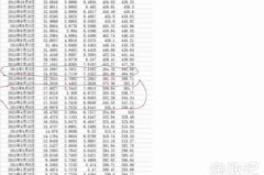基金净值查询630002,“揭秘华商盛世成长基金（630002）净值波动与投资策略”
